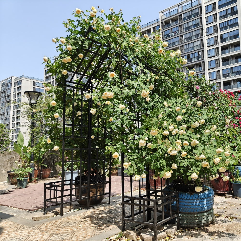 Holaki Metal Garden Arch with Adjustable Width Climbing Plants Support Rose Arch Outdoor Black