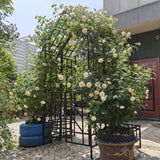 Holaki Metal Garden Arch with Adjustable Width Climbing Plants Support Rose Arch Outdoor Black