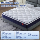 Queen Mattress, Holaki 10" Memory Foam Hybrid Mattress in a Box, Queen Size Mattress Medium Firm, Individual Pocket Spring Mattress with Edge Support, Pressure Relief & Motion Isolation, CertiPUR-US