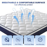 Queen Mattress, Holaki 10" Memory Foam Hybrid Mattress in a Box, Queen Size Mattress Medium Firm, Individual Pocket Spring Mattress with Edge Support, Pressure Relief & Motion Isolation, CertiPUR-US