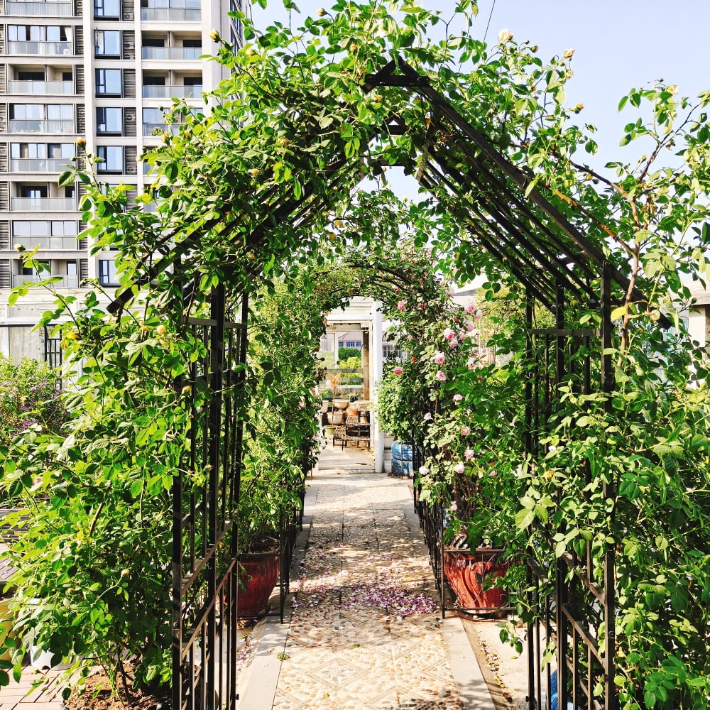 Holaki Metal Garden Arch with Adjustable Width Climbing Plants Support Rose Arch Outdoor Black